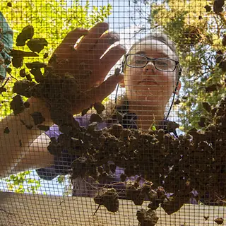 person looking down through screen with dirt and debris.