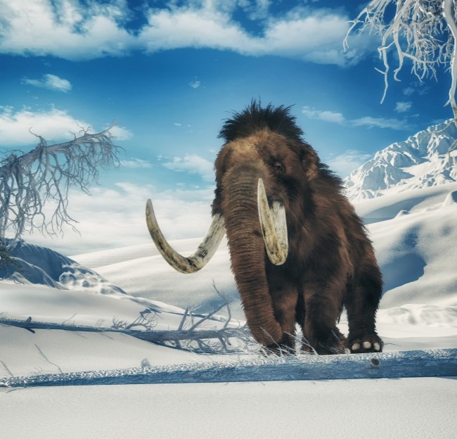 illustration of a woolly mammoth walking in ice and snow