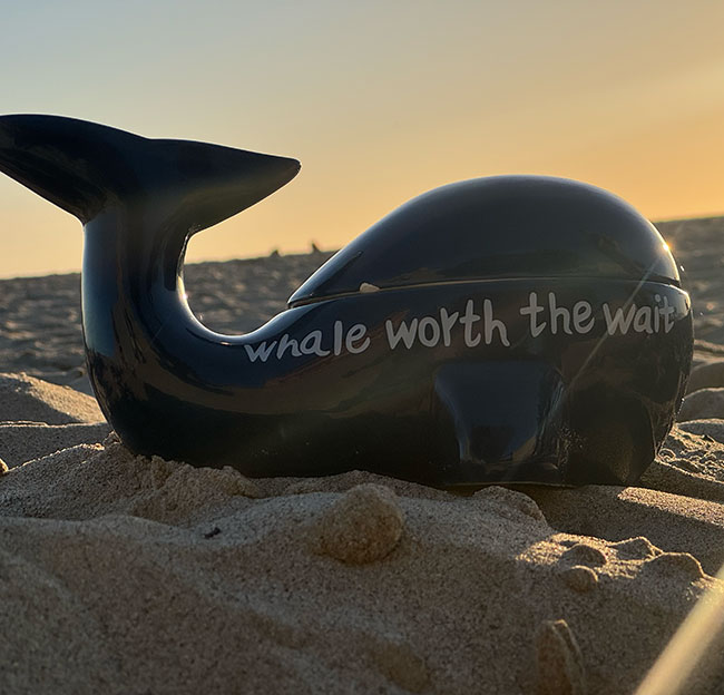 whale toy on a beach