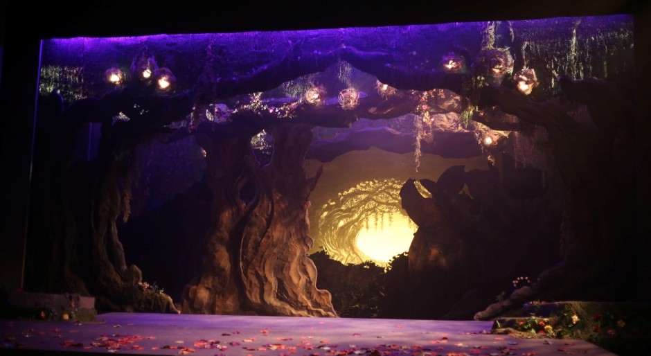 image of a forest stage set with no actors