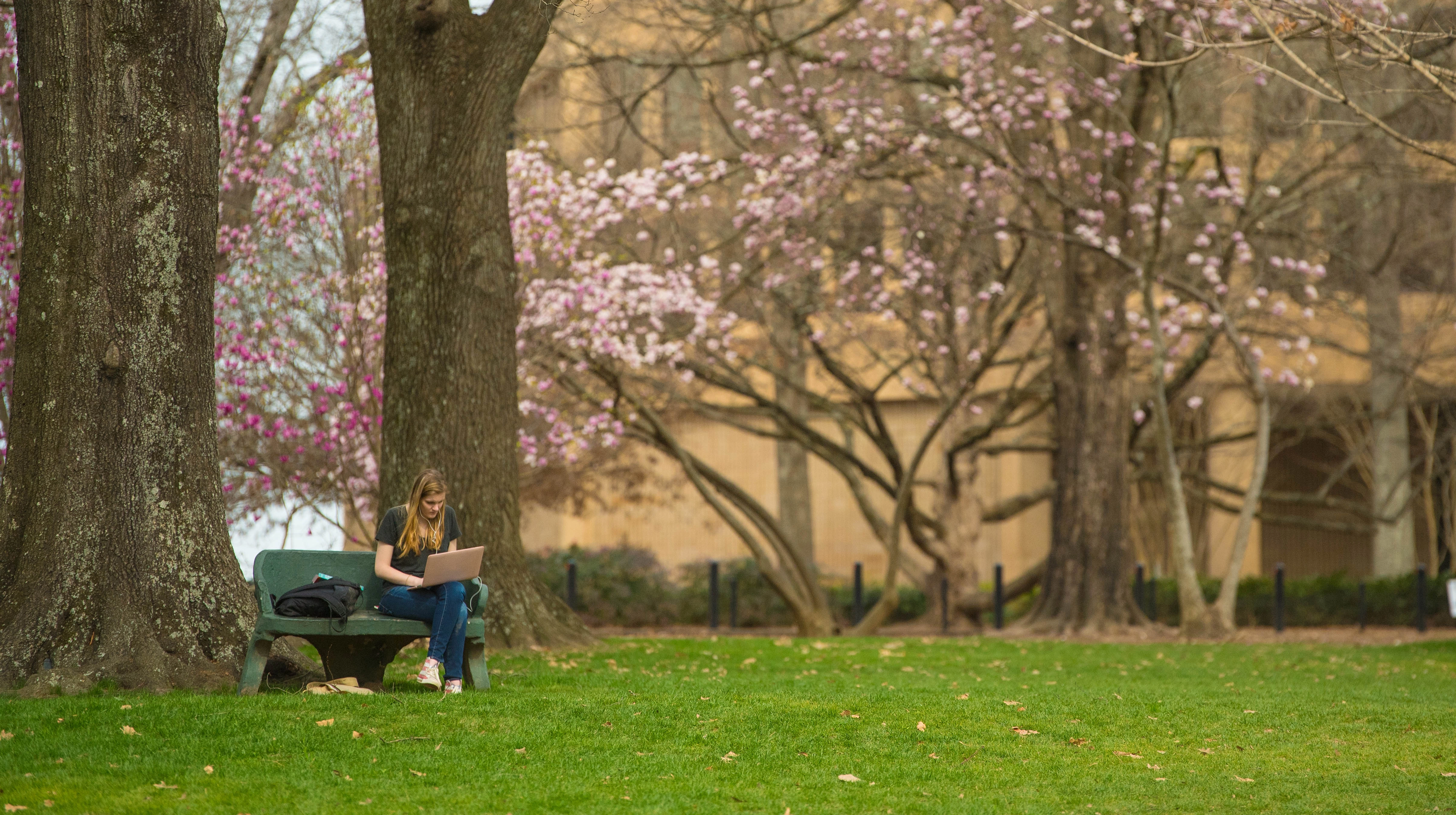Student studying in Grove in front of Lamar Hall