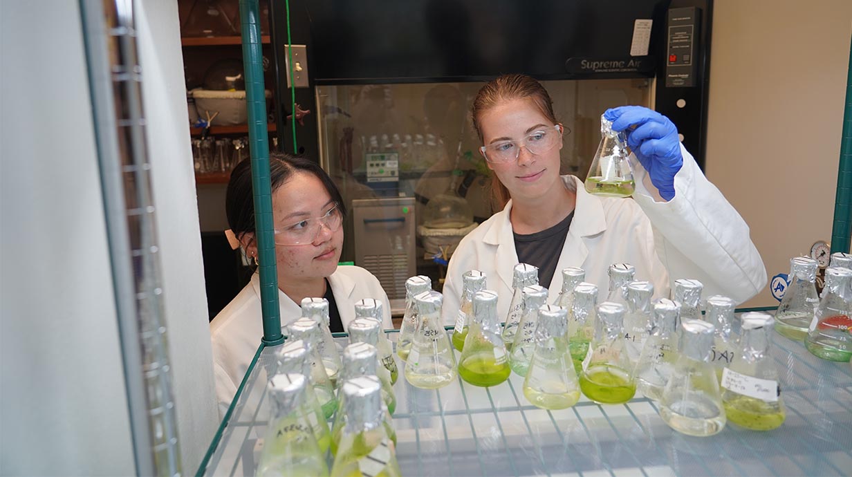 Girls using beakers to examen bacteria.