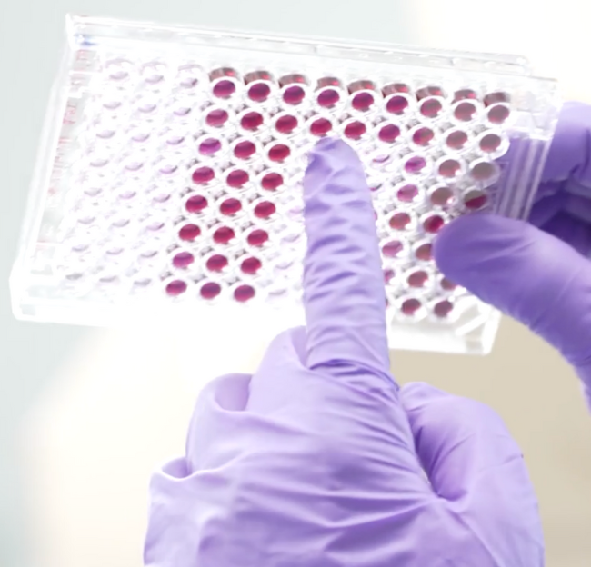 A researcher's hand points at sample panel