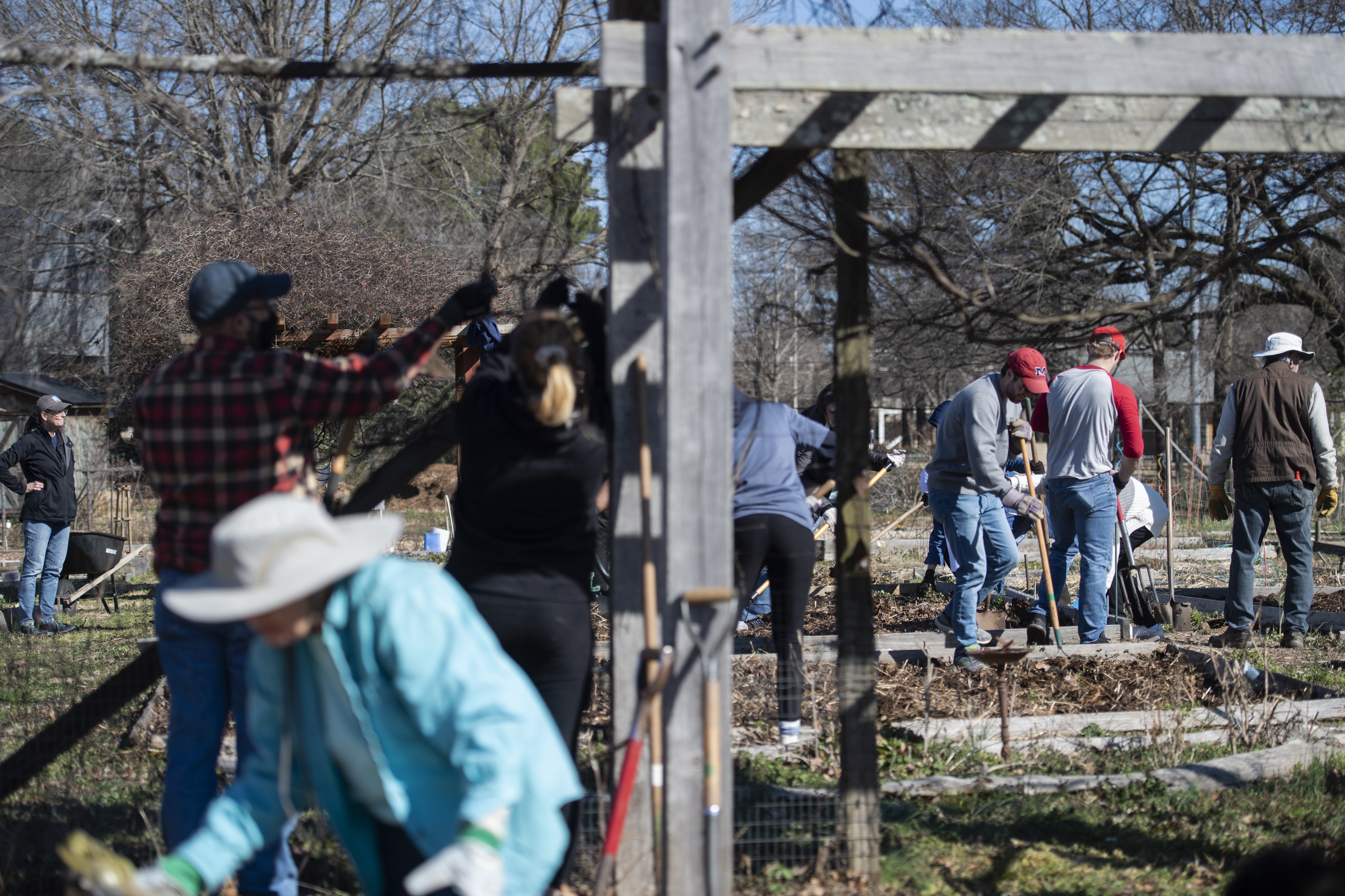 several volunteers working in an outdoor community garden with shovels and rakes