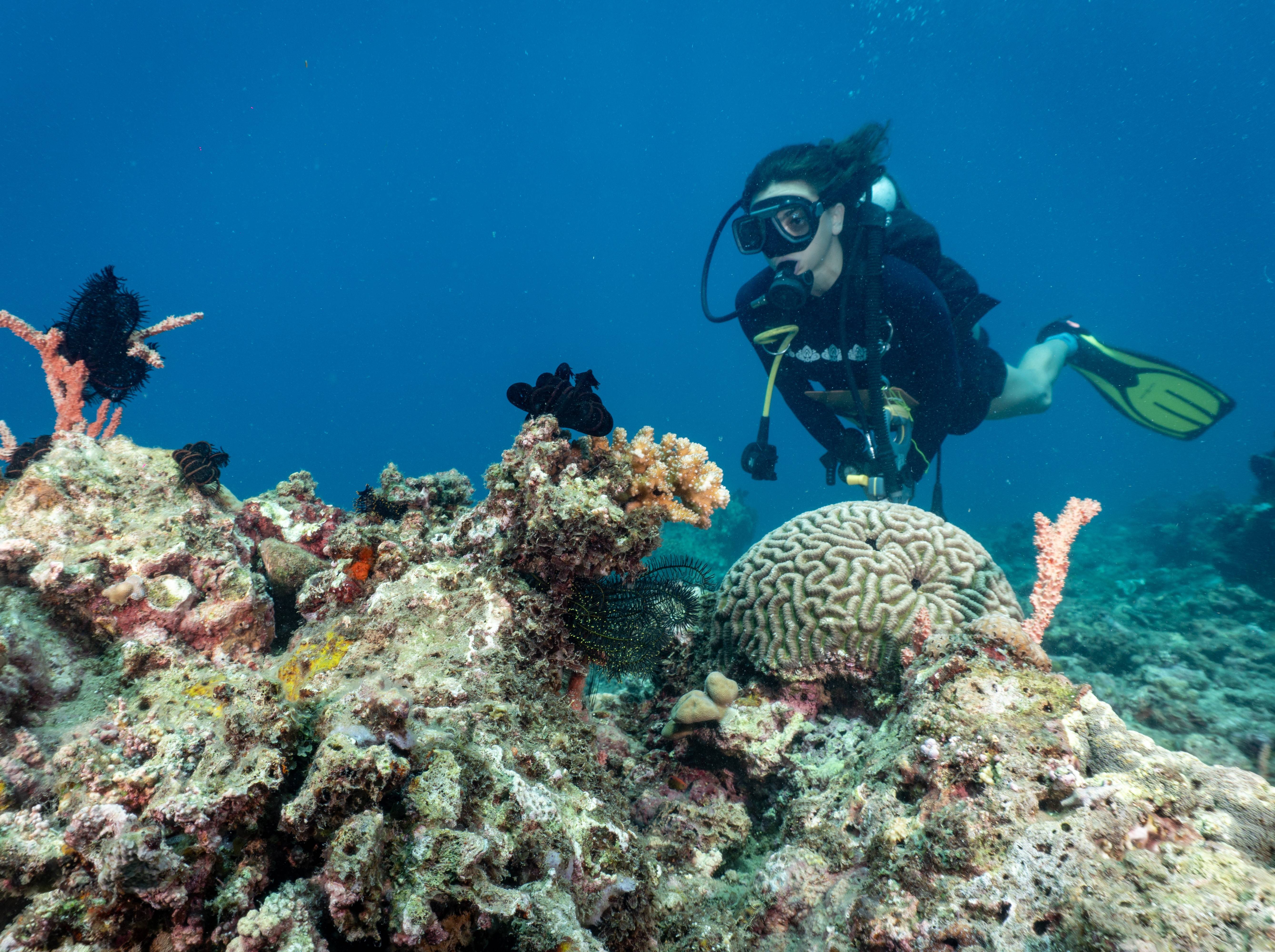 scuba diver underwater