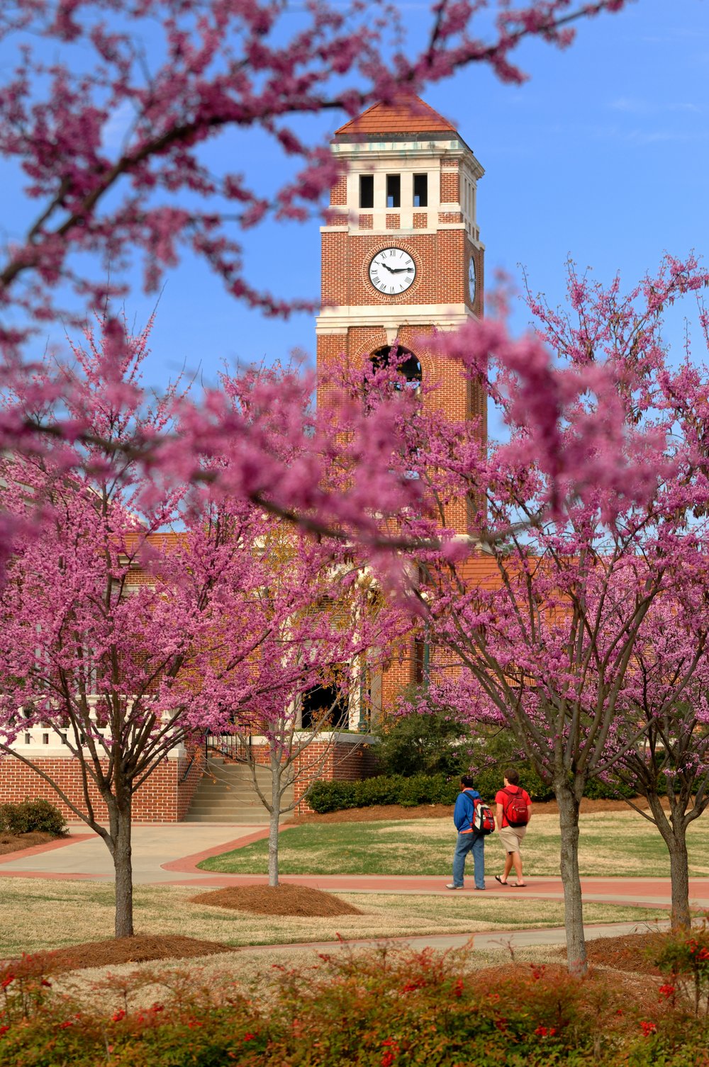 bell tower exterior spring blooms