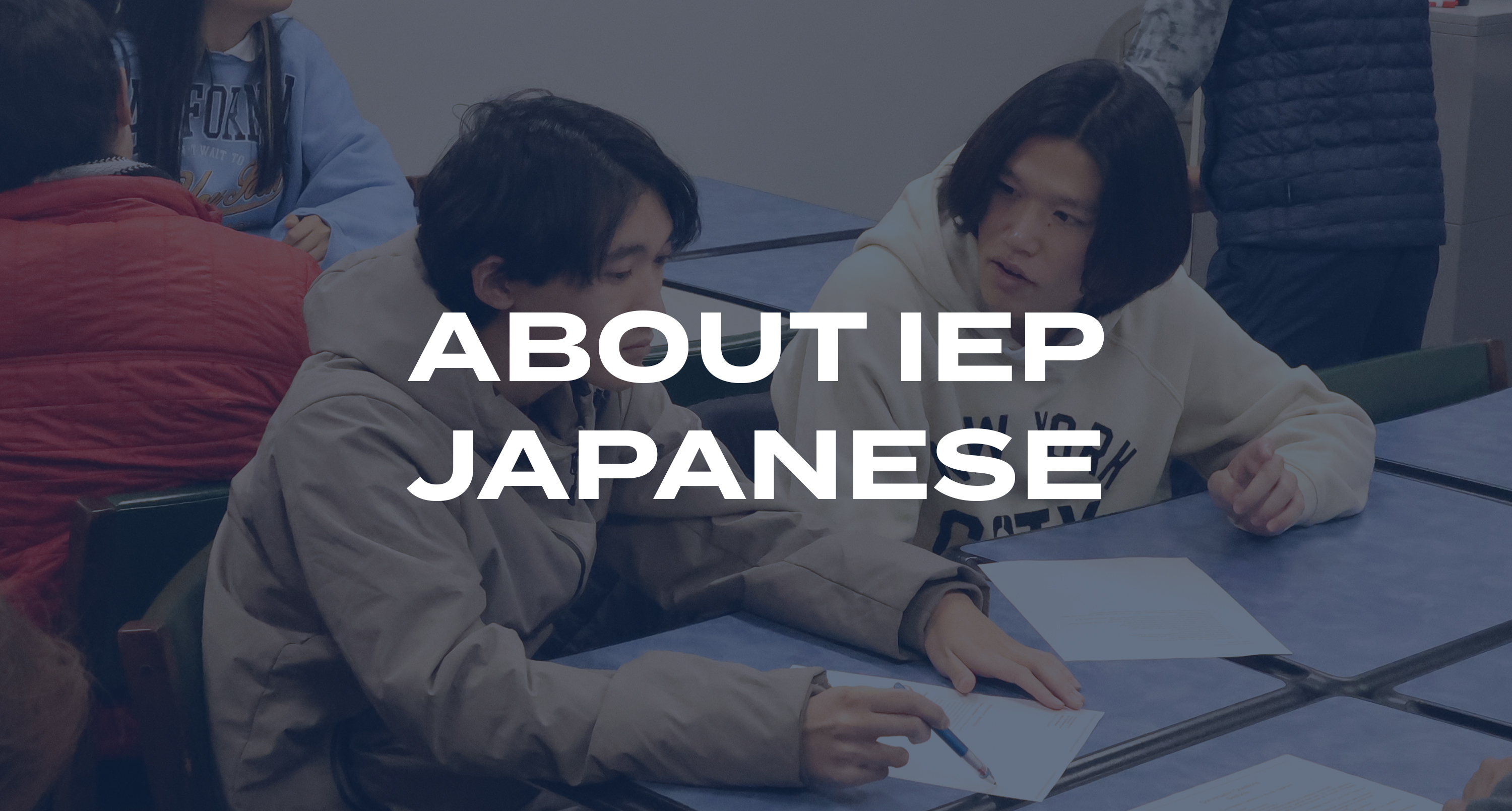 A group of students studies English in a class for the Intensive English Program