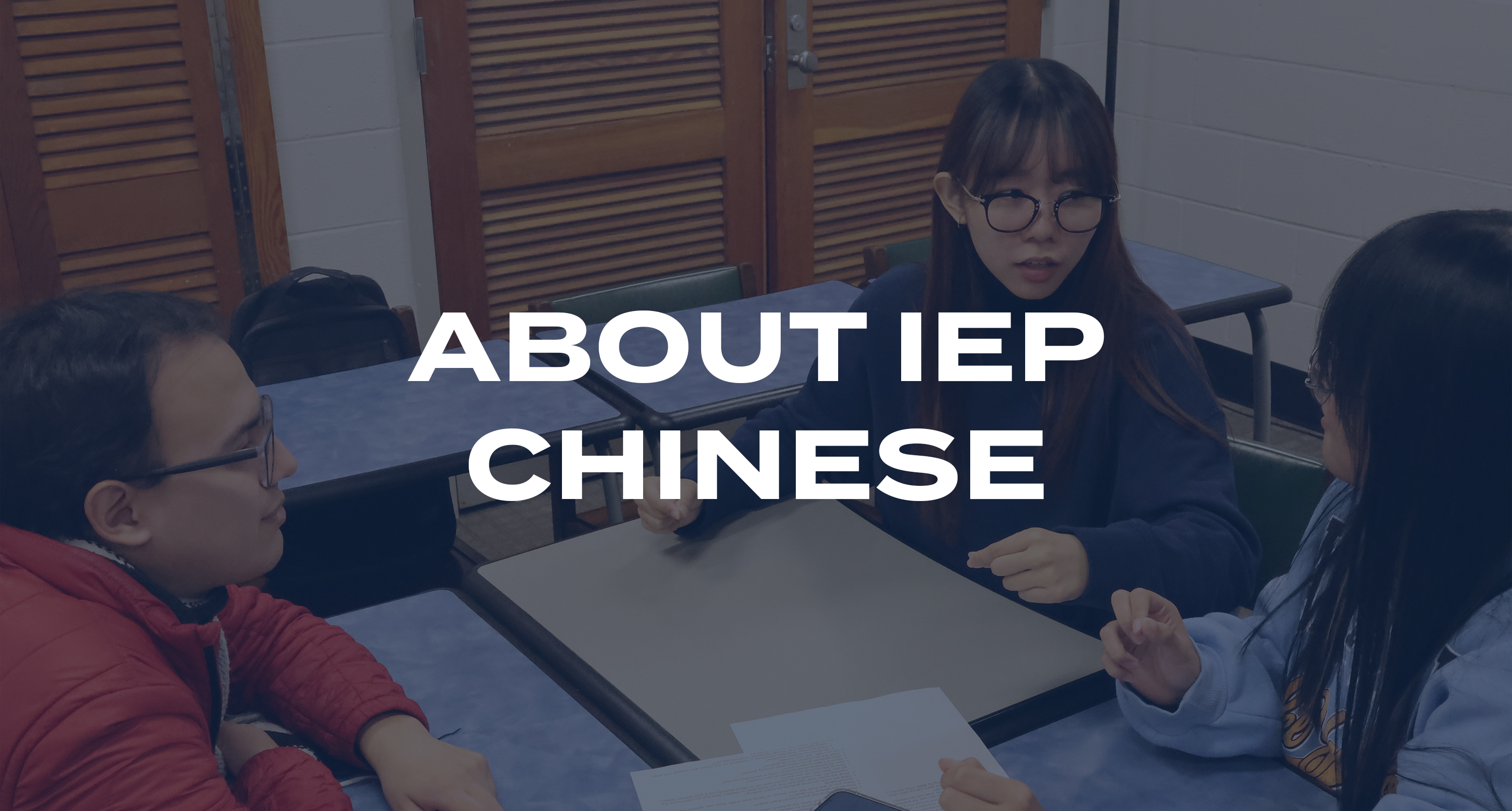 A group of students studies English in a class for the Intensive English Program