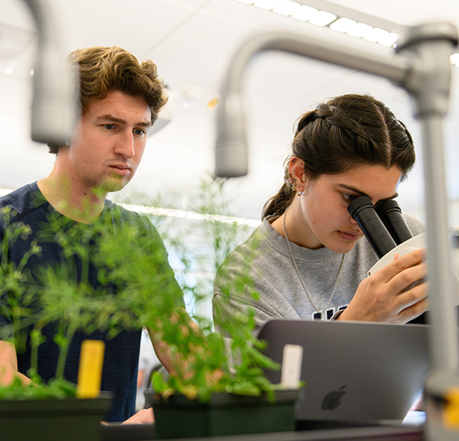 Students examine plant samples using a microscope during a biology lab activity.