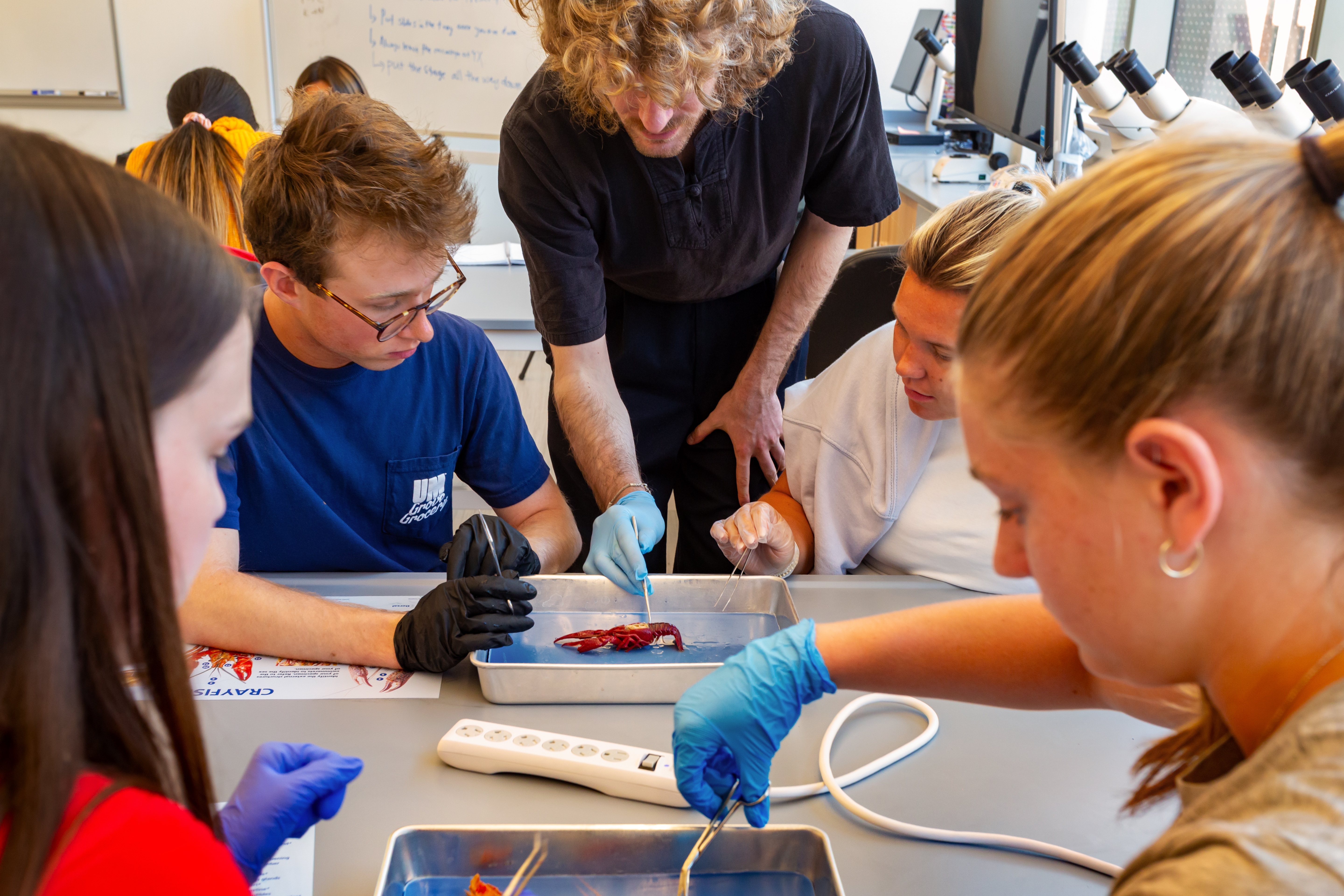 teacher explaining something to a student in a one on one talk over a dissected shrimp 