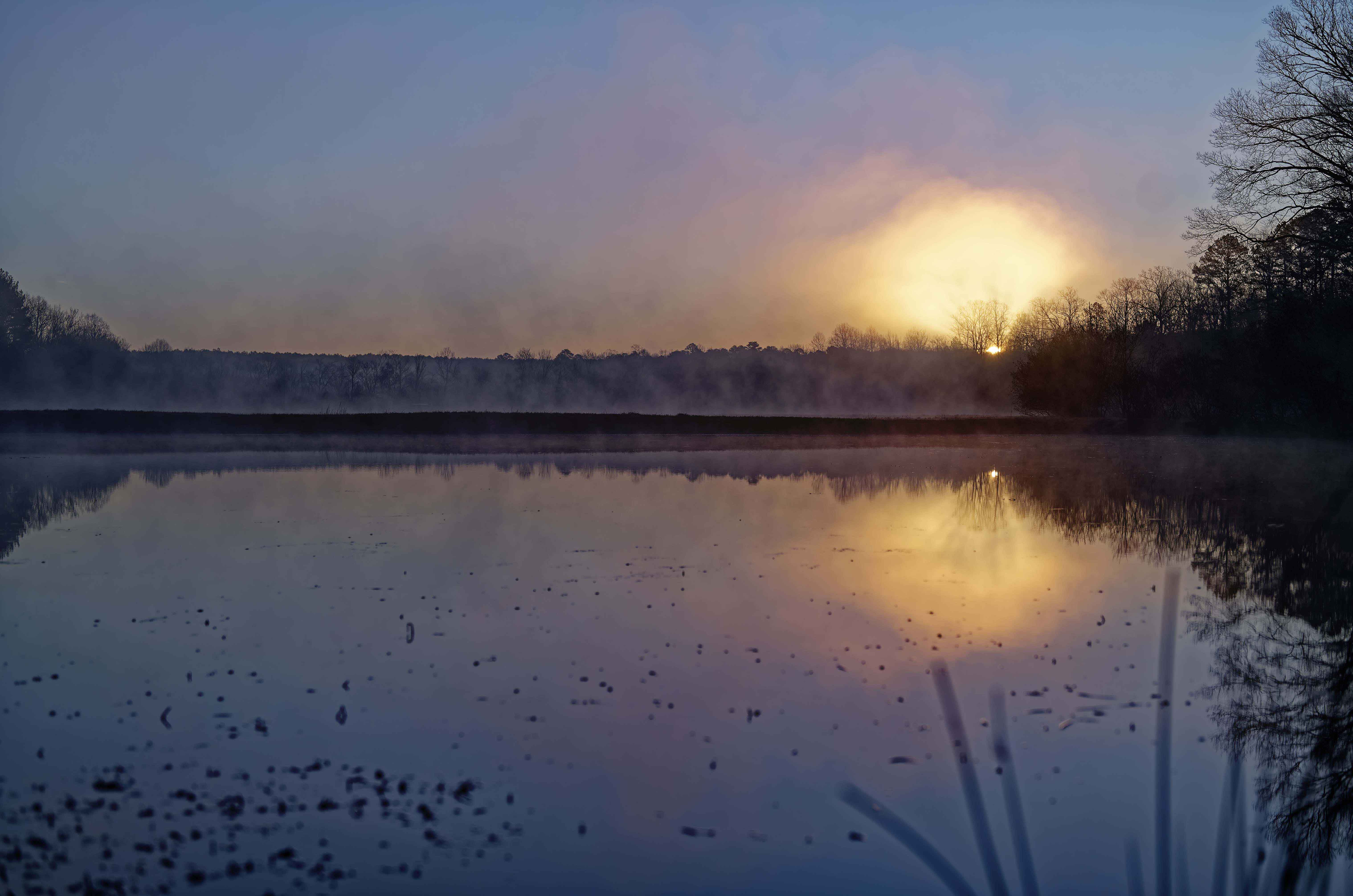 Sunset over a pond at the field station