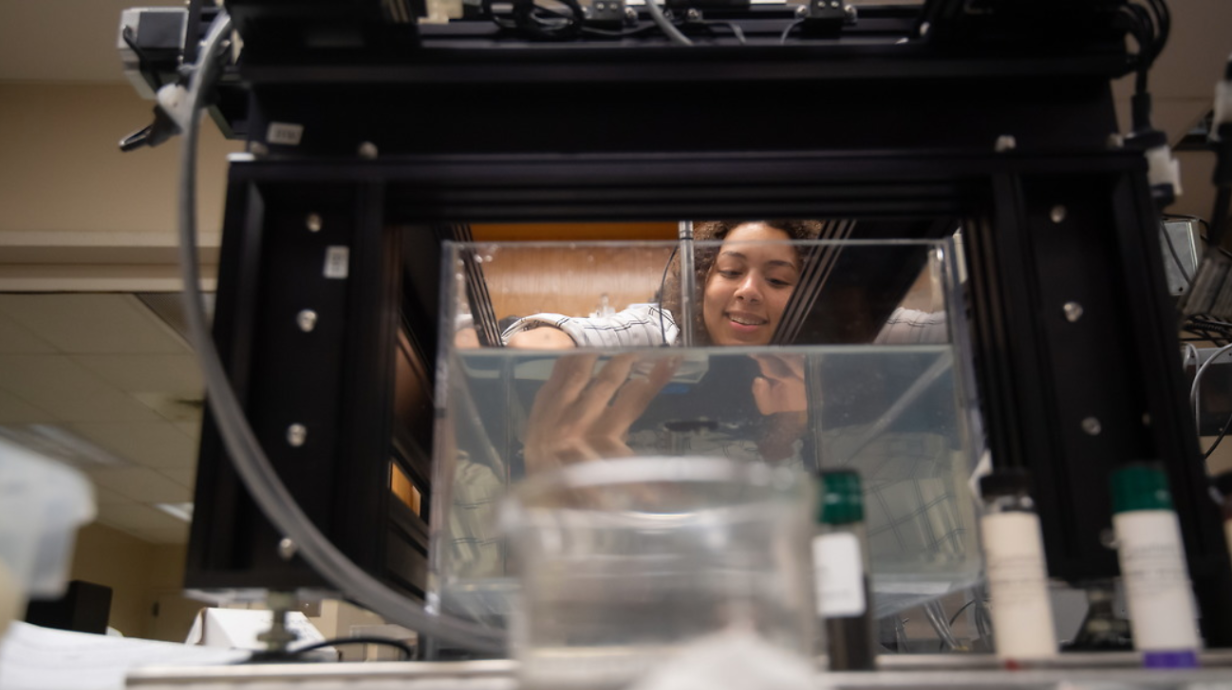 NCPA researcher completes a test in a water tank.