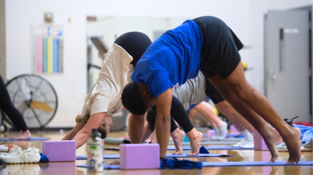 Individuals participating in a yoga group fitness 
