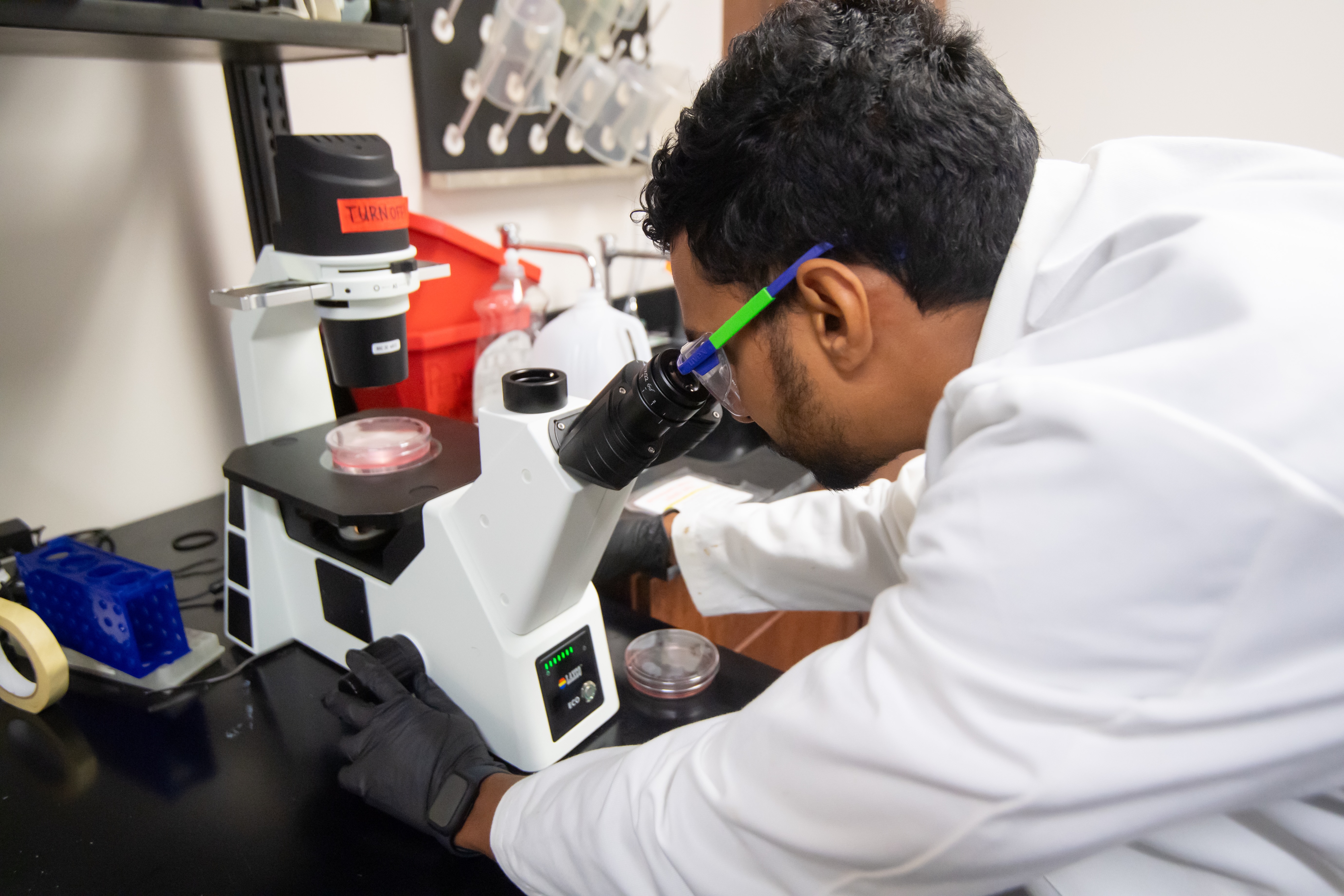 Image of student looking into a microscope.