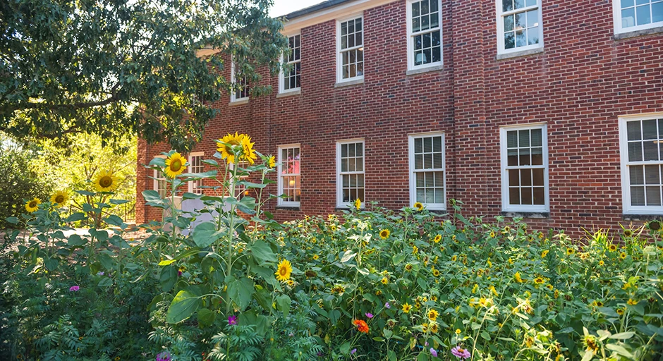 An image of the Lester garden behind Lester hall.  There is a caption that reads "Lester Garden"