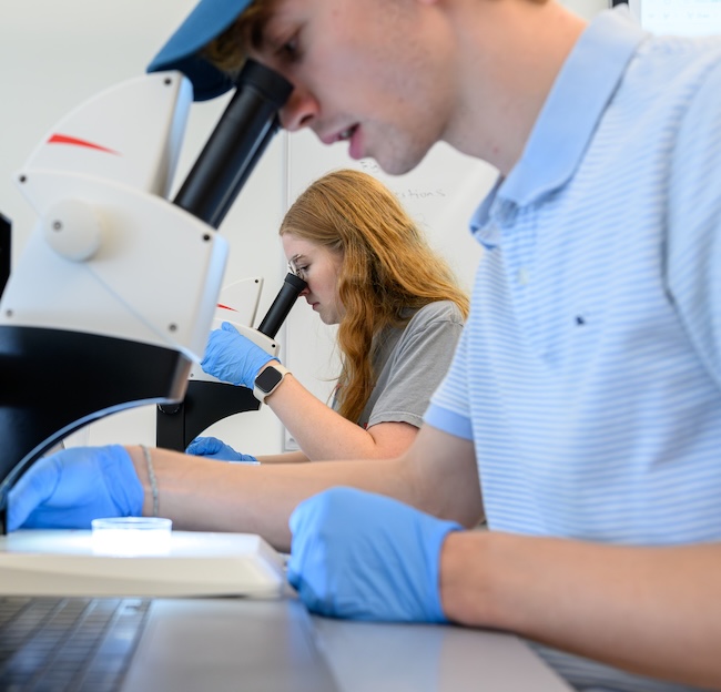 Students look into a microscope.