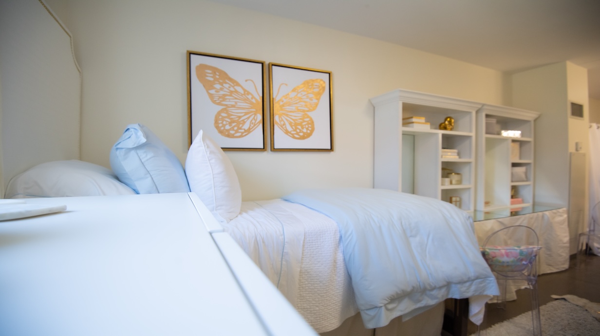 Butterfly photo above bed next to desks