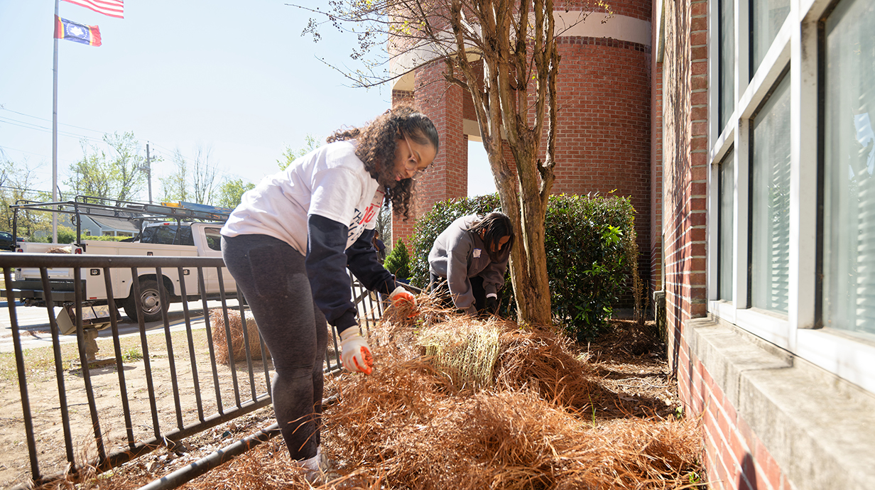 A young woman and young man spread pine straw in front of a large brick building.