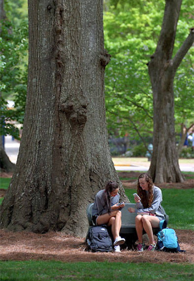 students seated in the Grove comparing smart phones