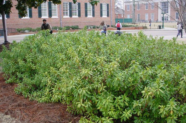 The University Of Mississippi Landscape Services Department