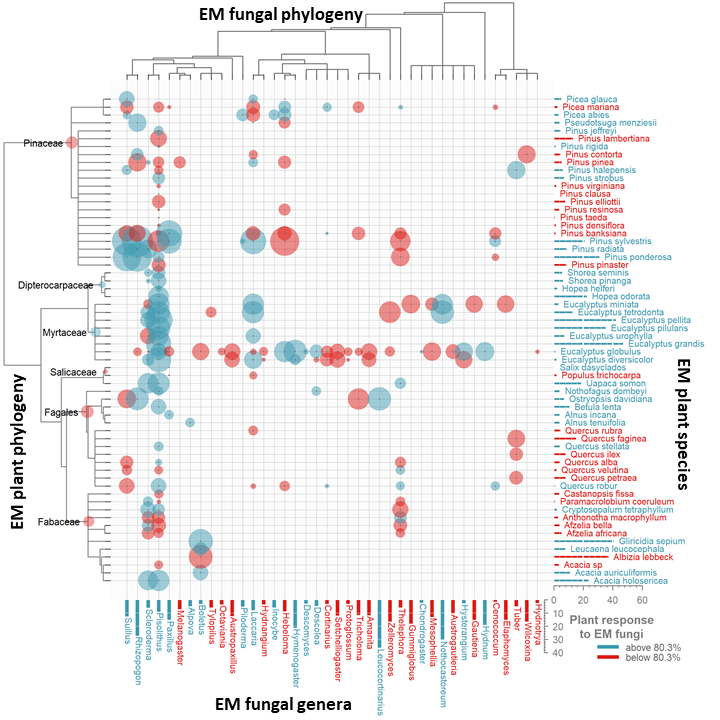 Fig1 from Hoeksema et al 2018