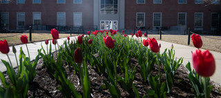 Ole Miss: University of Mississippi