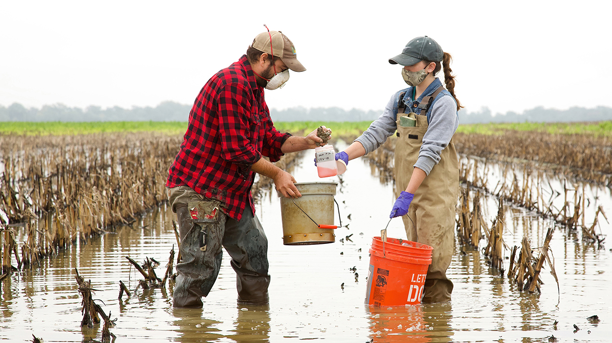 Two Ole Miss researchers work in the Delta.