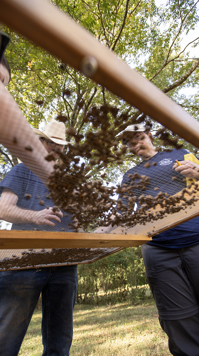 Two people are see through a screen holding rocks, dirt and bits of glass and pottery.