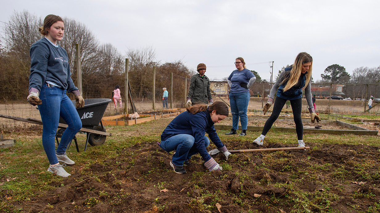 Young people work to clear land in a garden plot.