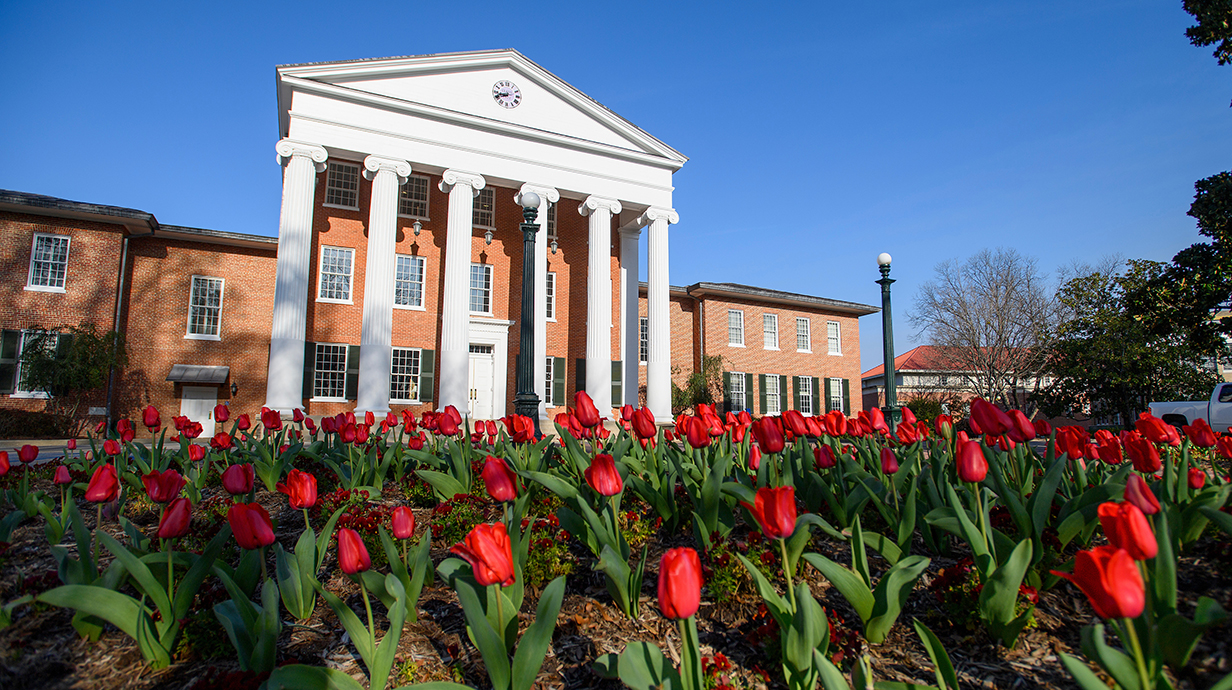 Bright red tulips grow in front of a classically styled red brick building with large white columns.