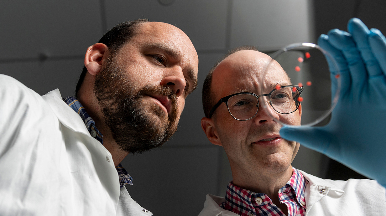 Two men wearing lab coats look down into a glass dish lined with red dots.