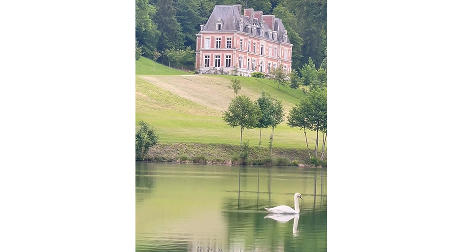 A white swan swims across a lake in front of a red brick French chateau.