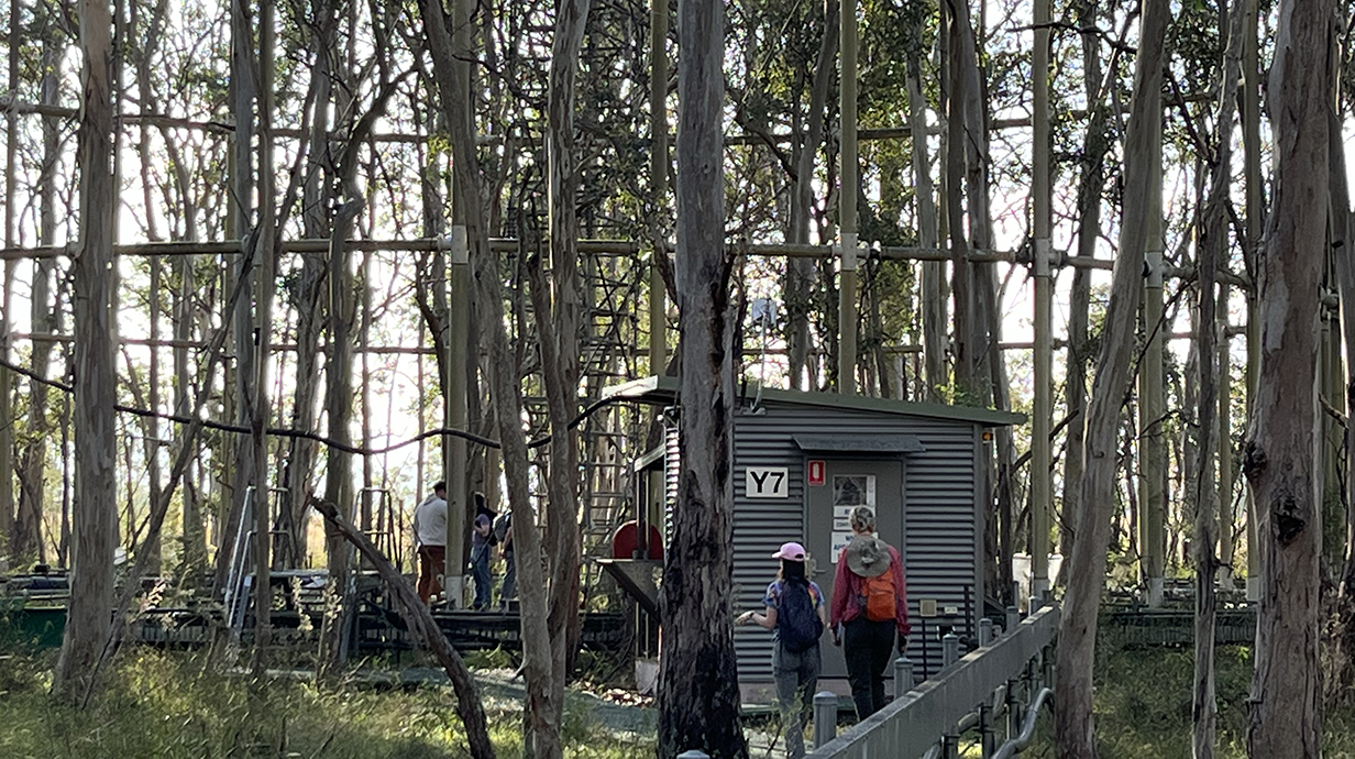 Several people stand near a gray metal hut in a wooded area.