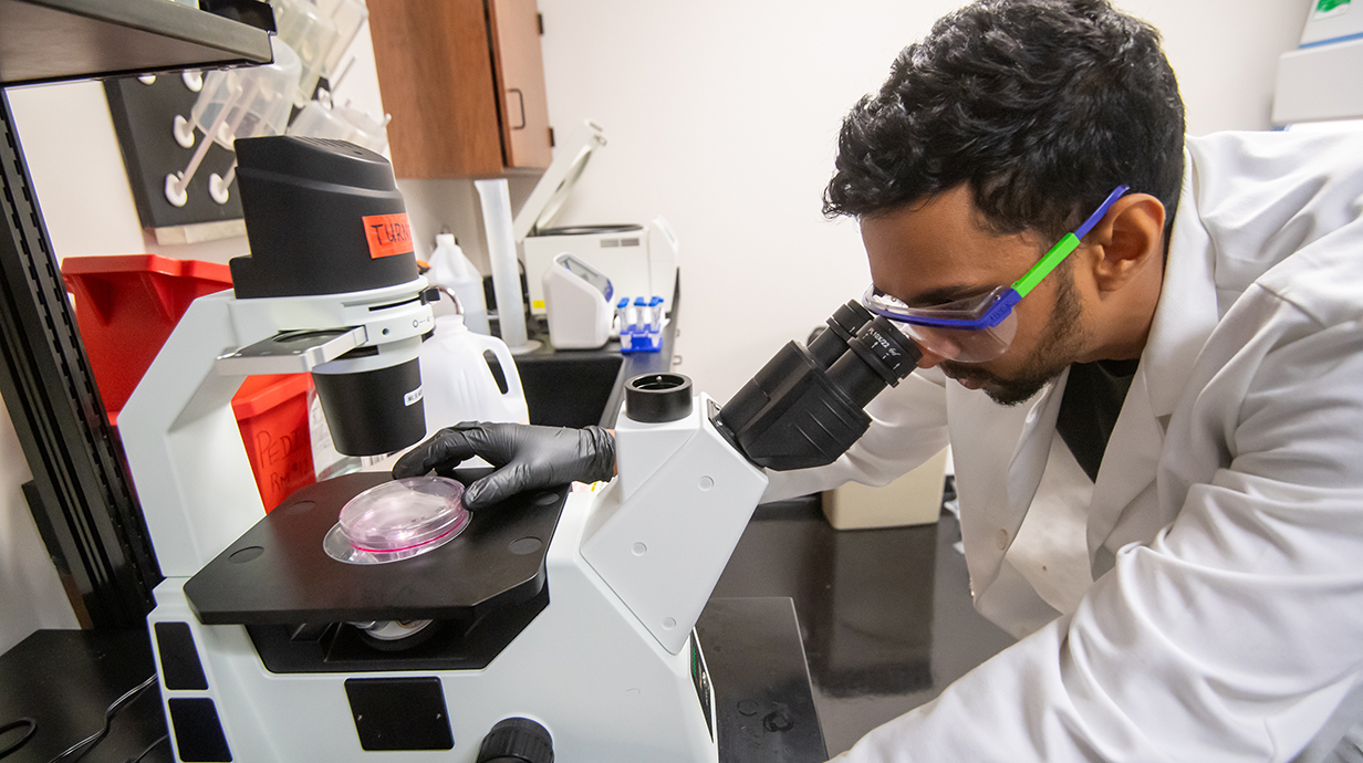 A young man wearing a white lab coat and glasses looks through a microscope in a laboratory.