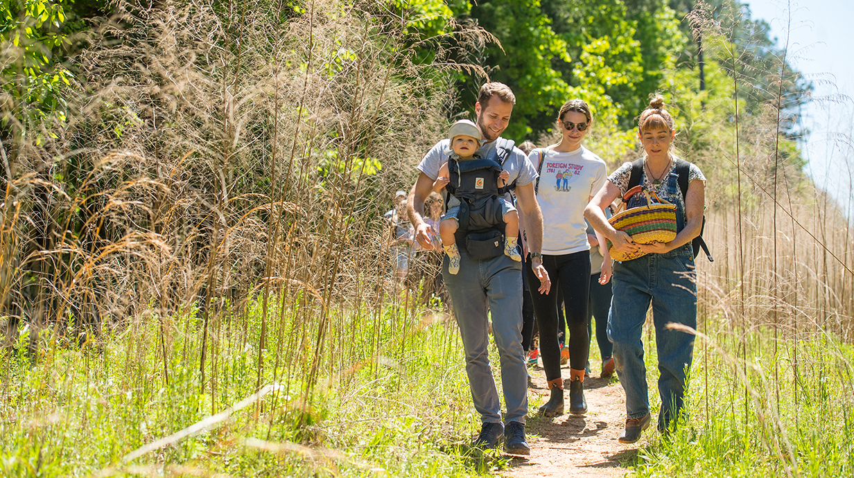 A man carrying a baby in a child carrying harness leads a group of people on a hiking trail on a sunny day.