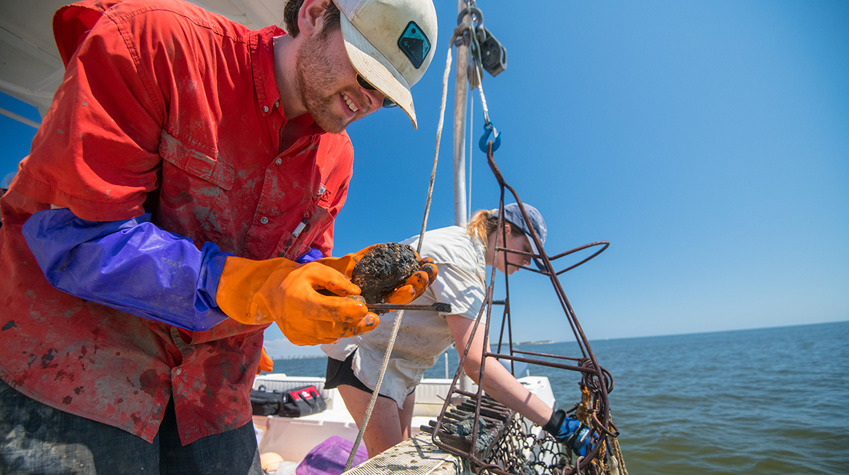 A young man and young woman examine oysters while standing at the side of a boat out on the ocean.
