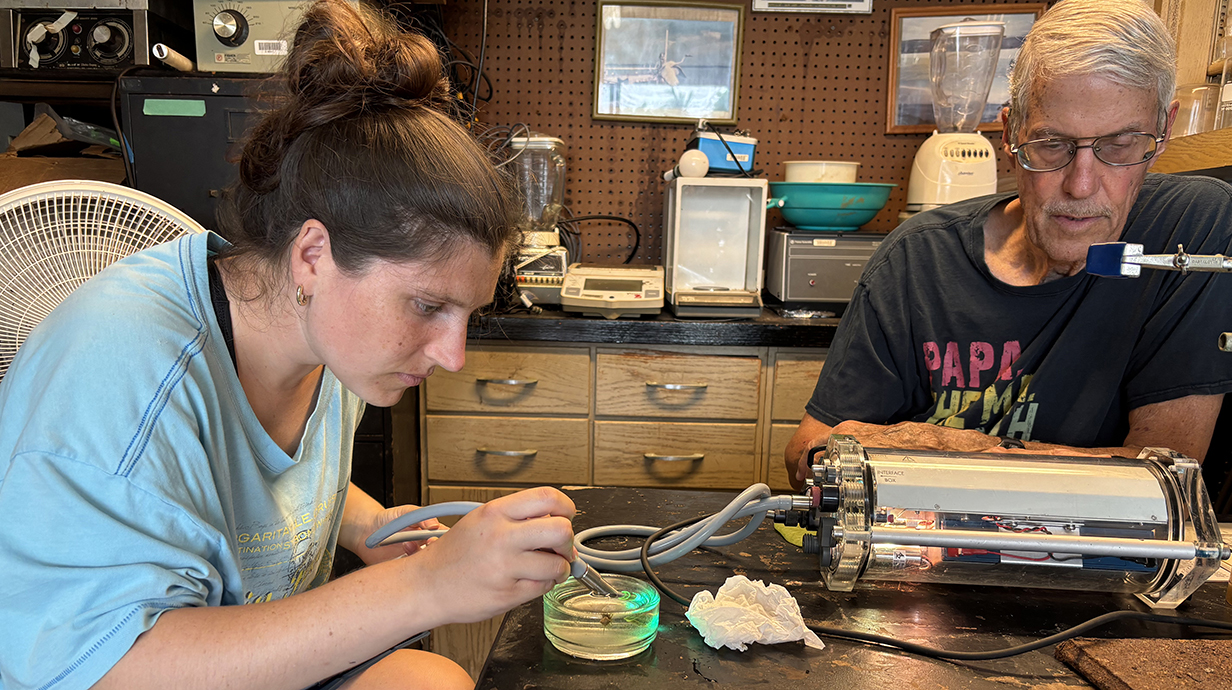 A young woman examines a petri dish sitting on a desk while a man works nearby on a computer.