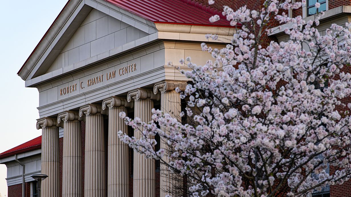 A flowering tree blooms outside a large brick building with a columned facade.