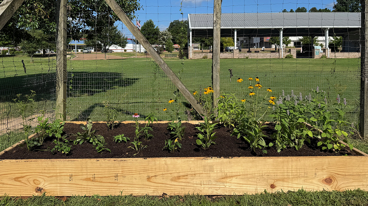 Colorful flowers grow in a raised bed in a garden.
