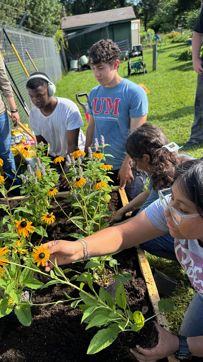 Several young people plant flowers in a raised garden bed.