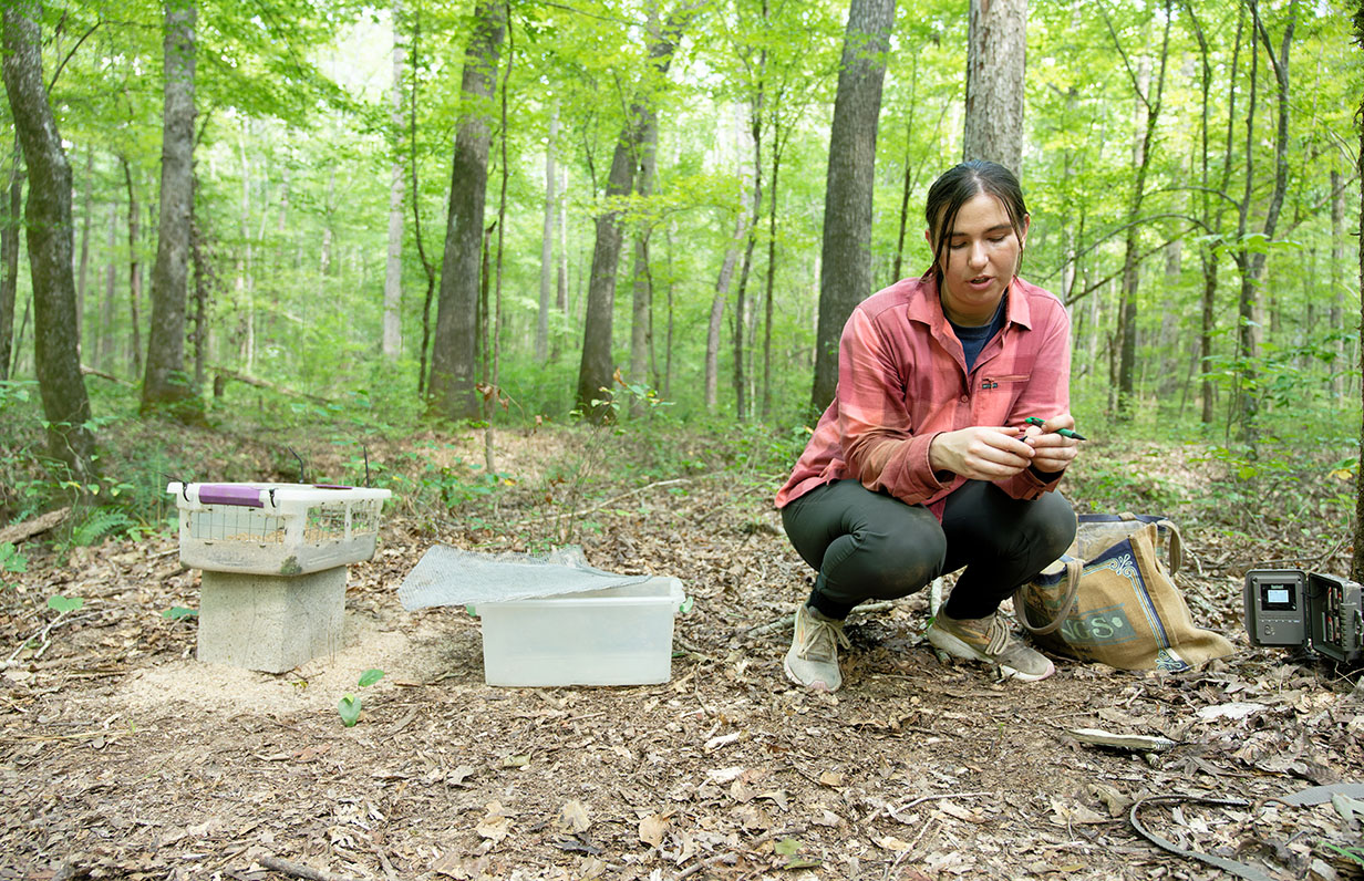 Jessica Stamn records data from her field station. 