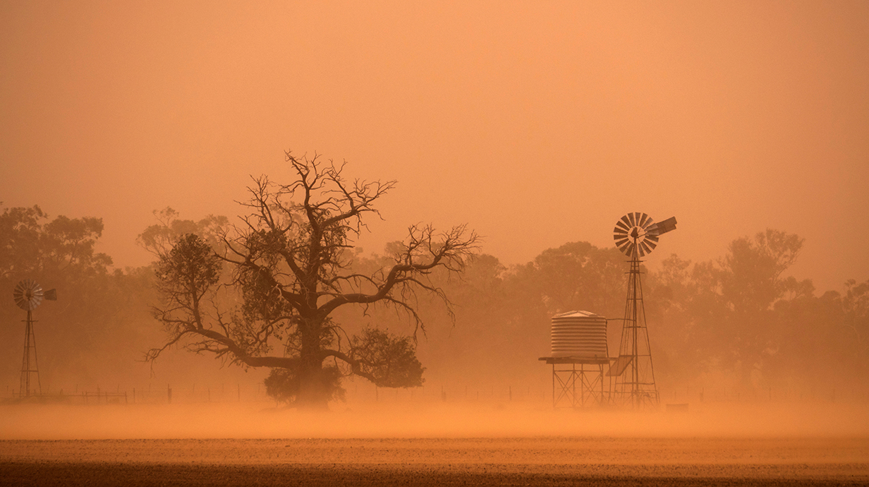 A dust storm partially obscures a windmill and a line of trees.