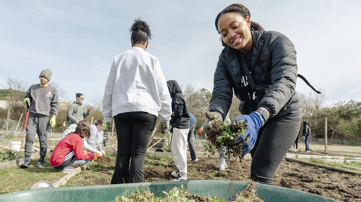 Several young people work in a garden and fill a wheelbarrow with weeds.