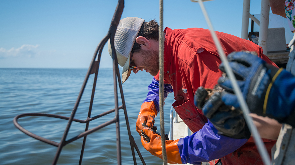 A young man wearing a cap leans over the side of a fishing boat while examining an oyster shell.