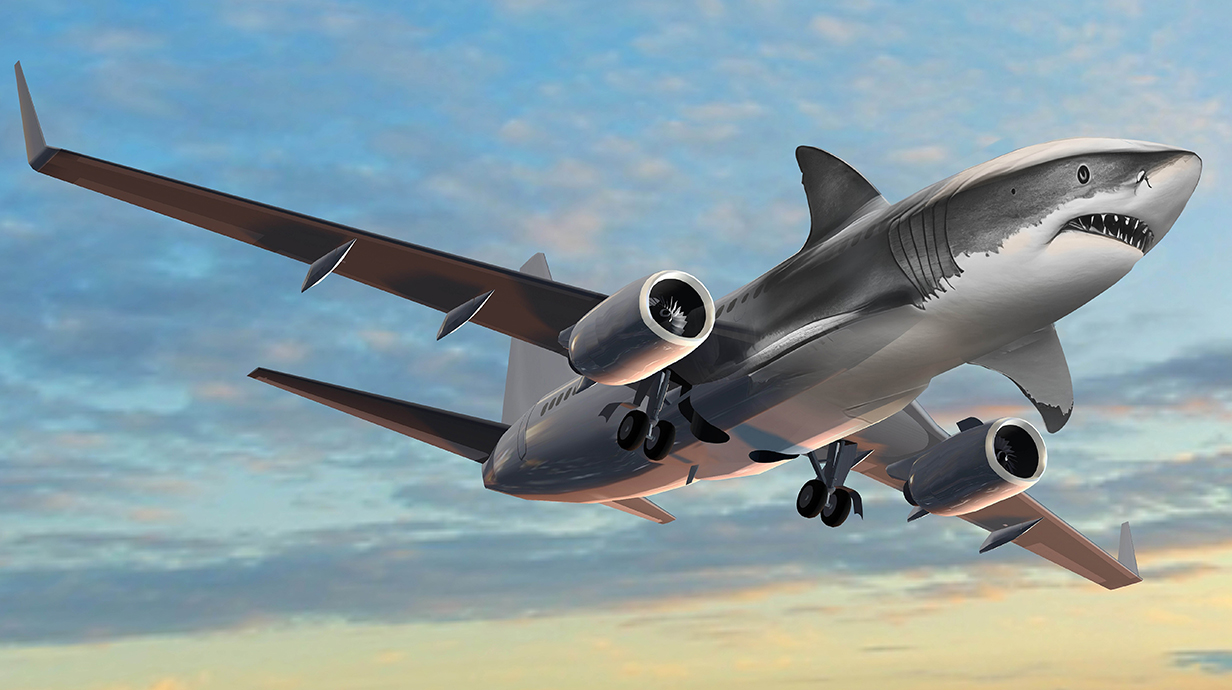 A photo illustration of an airplane with a shark's head for the nose.