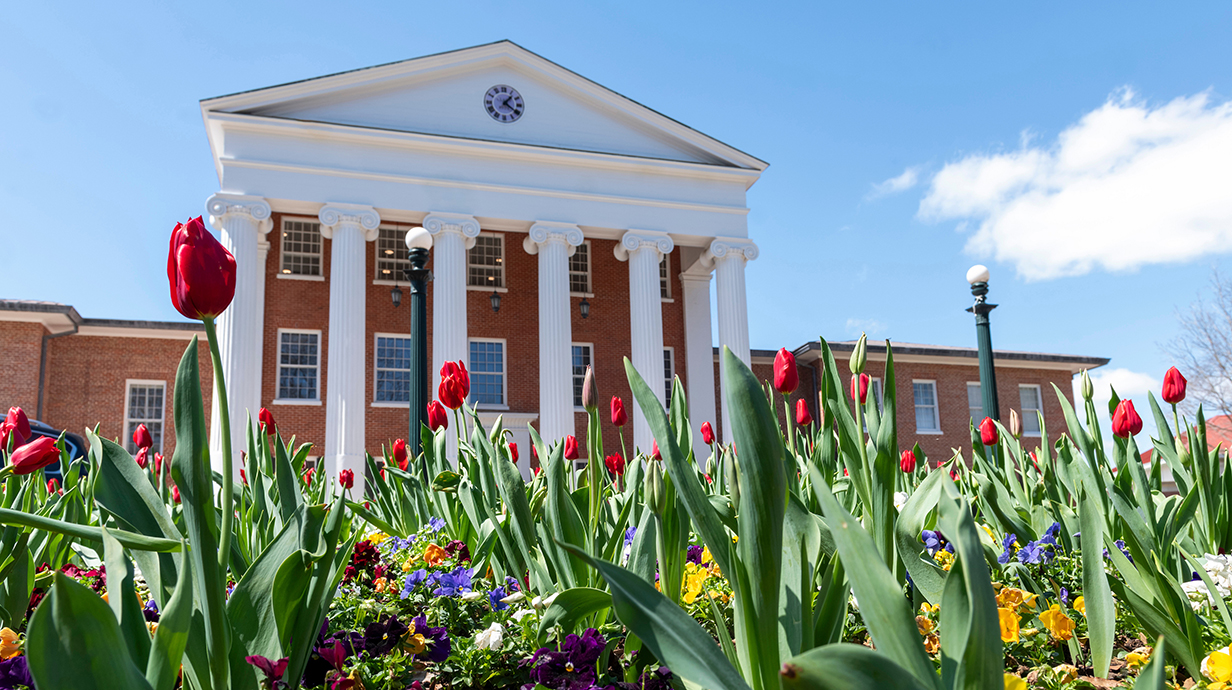 Colorful flowers bloom on a sunny day in front of a large red brick building with towering white columns lining its facade.