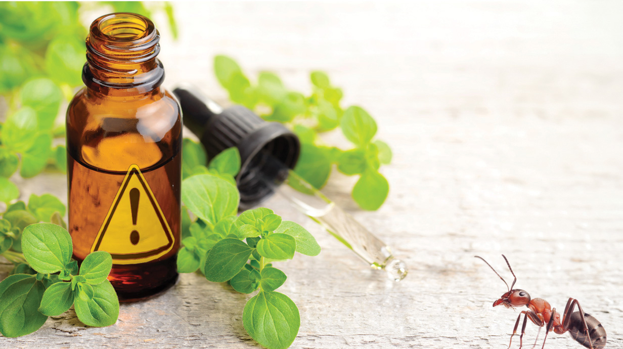 Photo illustration of an ant crawling near a brown bottle of liquid surrounded by oregano leaves.
