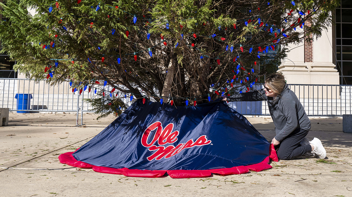 A woman arranges a tree skirt reading 'Ole Miss' around the base of a tree on an ouutdoor plaza.