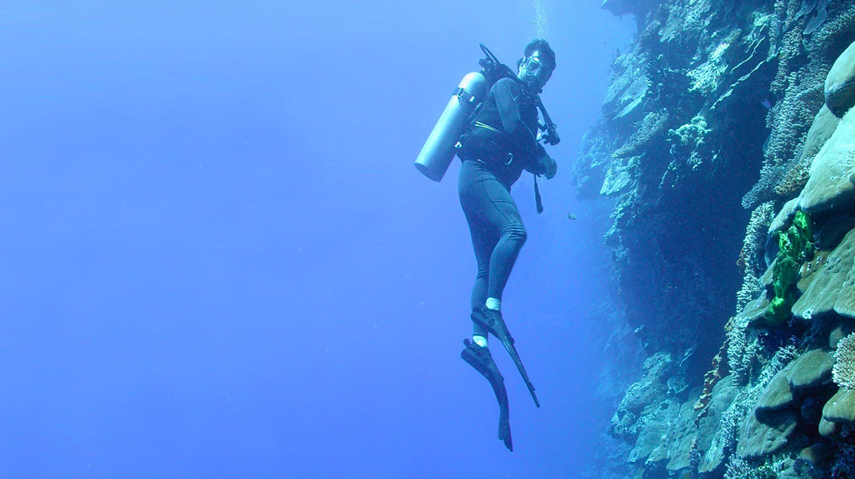 A scuba diver swims near a vertical wall lined with marine sponges and other organisms.