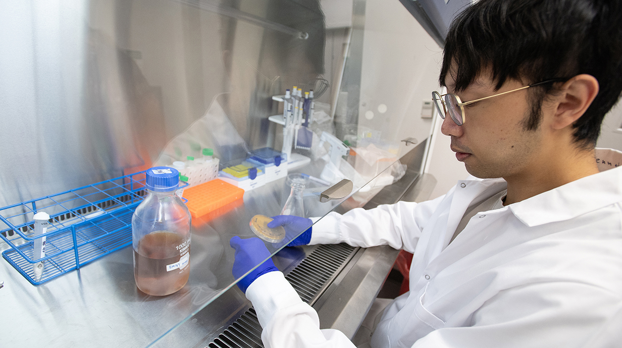 A young man wearing a white lab coat swabs a petri dish under a laboratory hood.